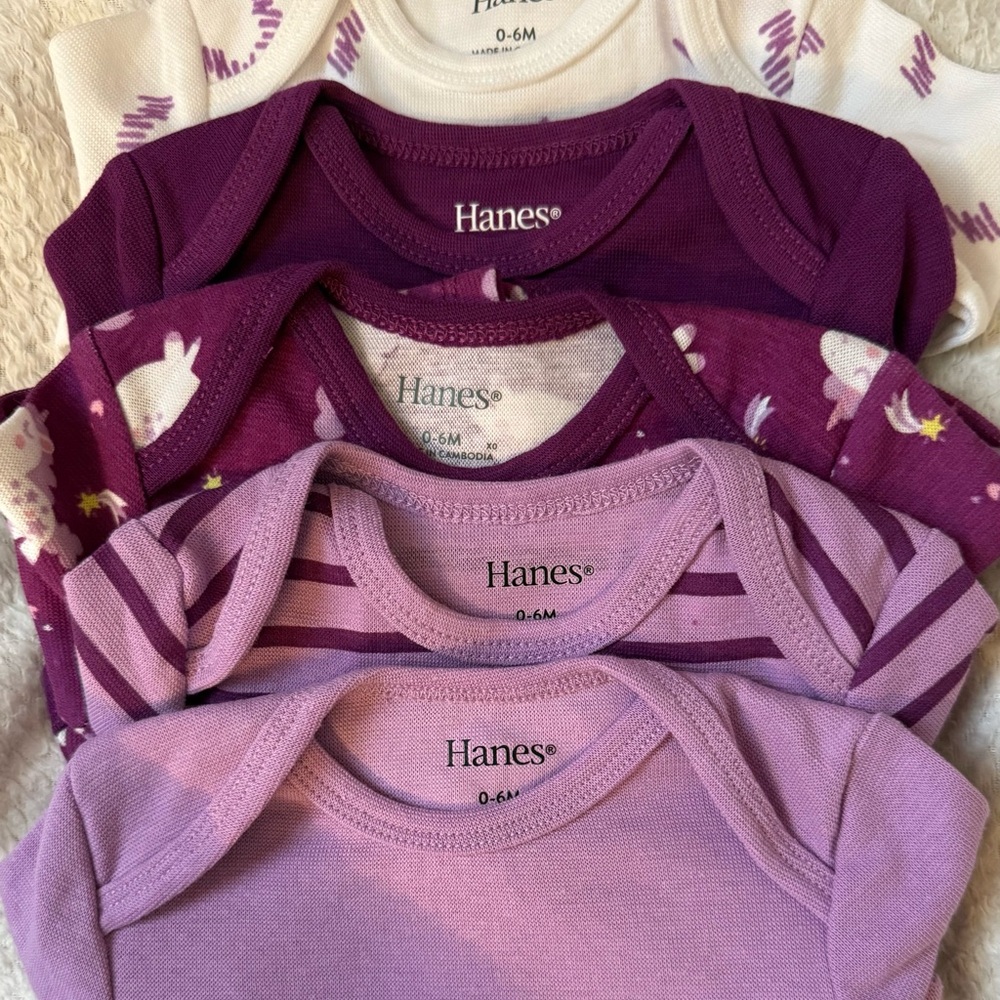 Hanes Baby Bodysuit Set in Purple Tones